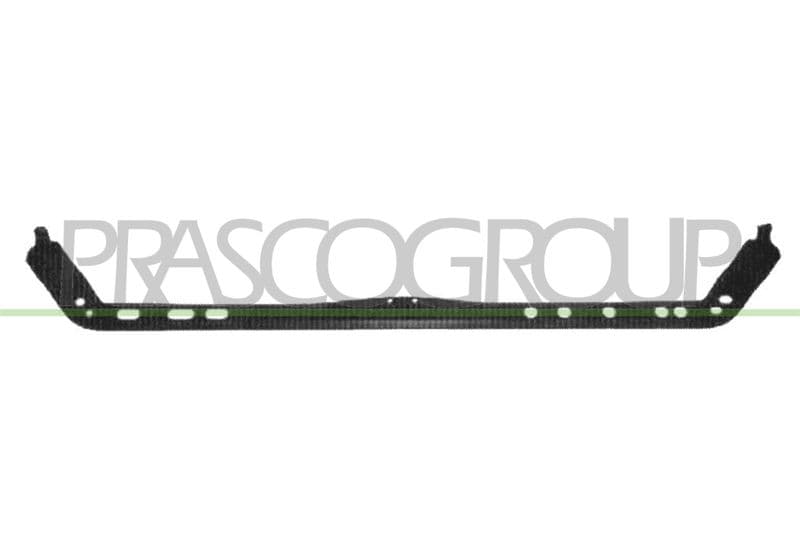 Suport radiator PRASCO FT1323218