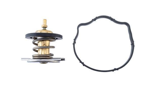 termostat,lichid racire MAHLE BEHR TX 494 87D