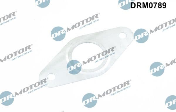 Garnitura, conducta supapa-AGR Dr.Motor Automotive DRM0789