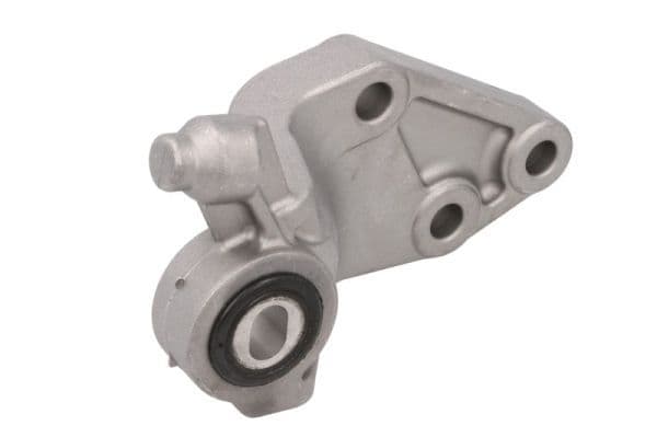Suport motor REINHOCH RH11-5081