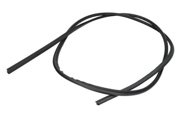 Garnitura, parbriz BLIC 5703-04-6037514Q