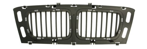 Grila radiator BLIC 6502-07-0057999P