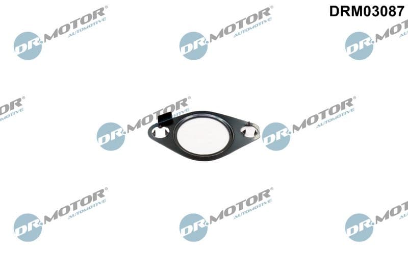 Garnitura, ventil AGR Dr.Motor Automotive DRM03087