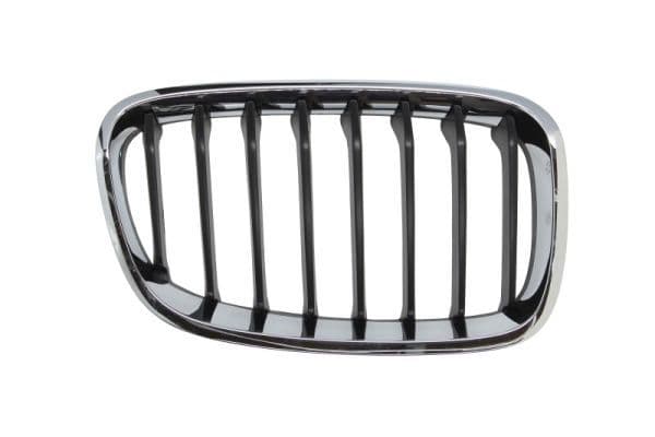 Grila radiator BLIC 6502-07-0086996P