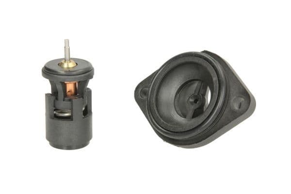 termostat,lichid racire THERMOTEC D2W004TT