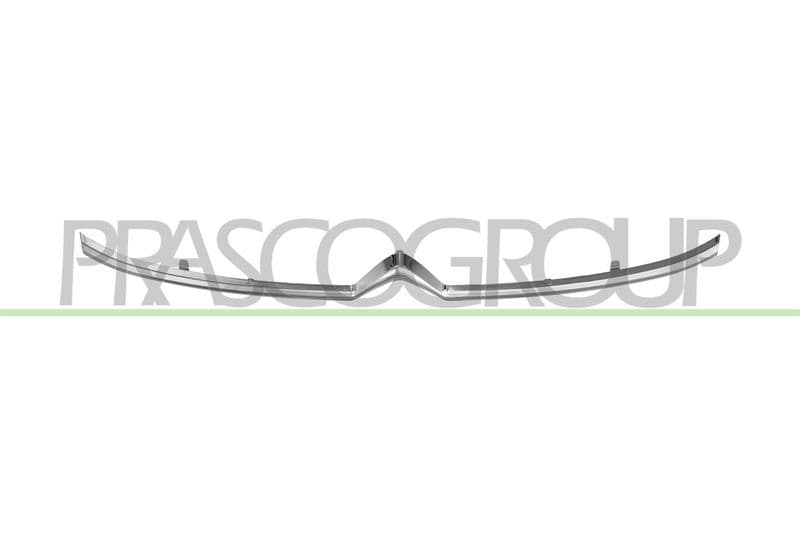 Grila radiator PRASCO CI3312206