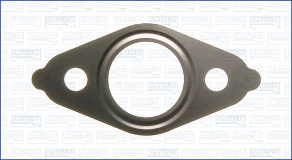 Garnitura, conducta supapa-AGR AJUSA 01015300