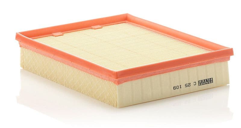 Filtru aer MANN-FILTER C 25 109