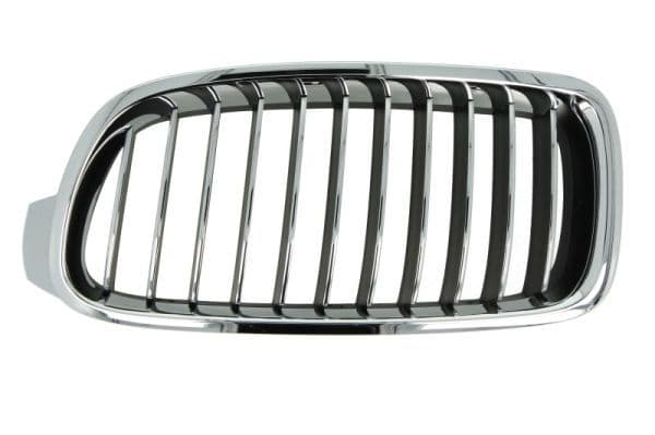 Grila radiator BLIC 6502-07-0063997P