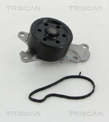 Pompă de apă, răcire motor TRISCAN 8600 10039