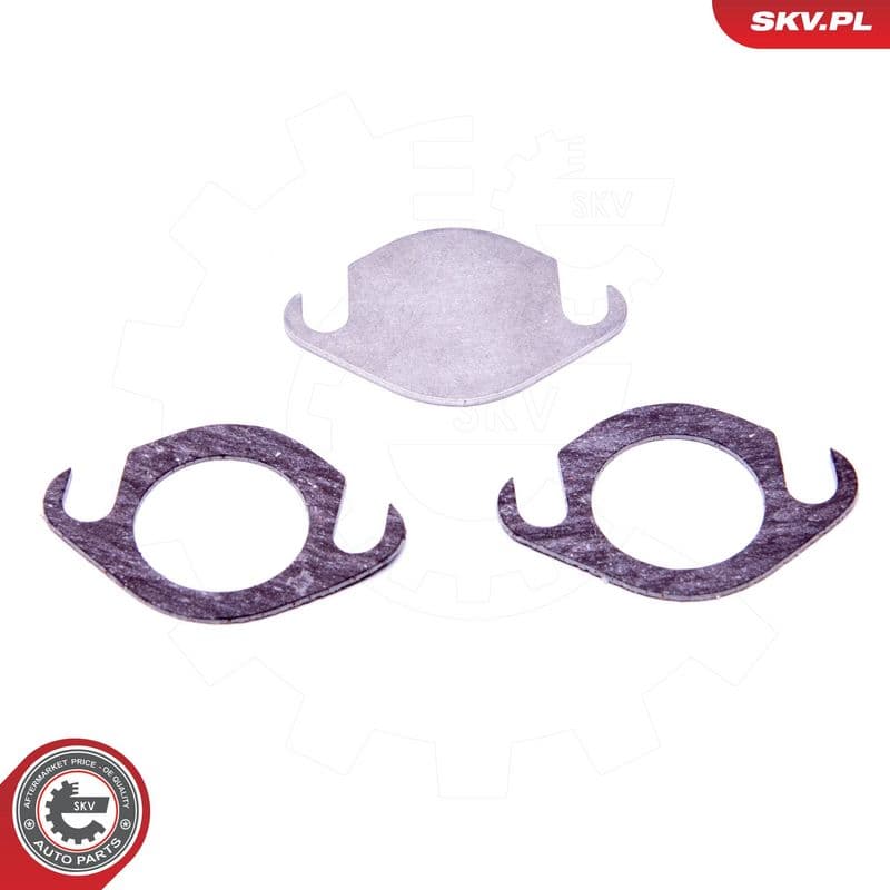 Set de reparație, supapă AGR ESEN SKV 14SKV506