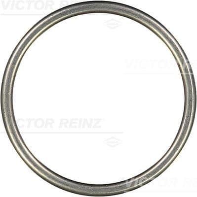 Garnitura, galerie evacuare VICTOR REINZ 71-26201-10