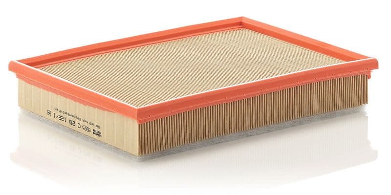 Filtru aer MANN-FILTER C 29 122/1