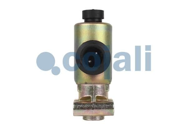 Supapa magnetica COJALI 2218206