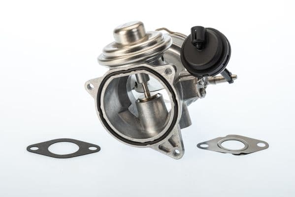 Supapa EGR BorgWarner 7650D