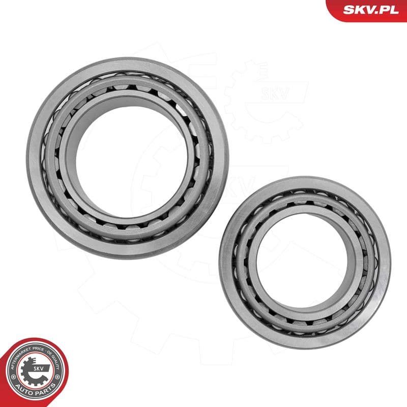 Set rulment roata ESEN SKV 85SKV102