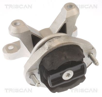 Suport, transmisie automata TRISCAN 8505 29202