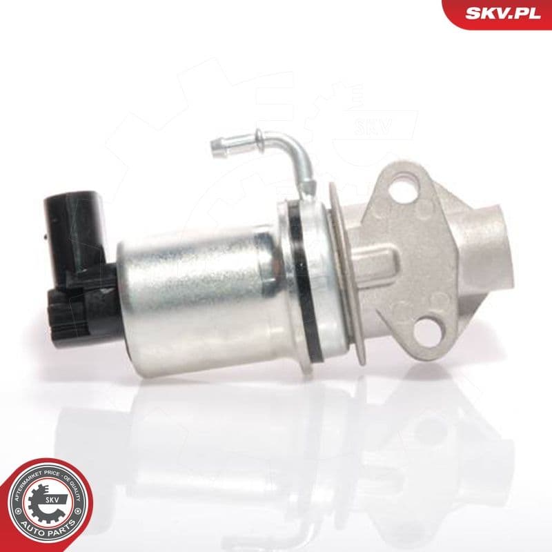 Supapa EGR ESEN SKV 14SKV018