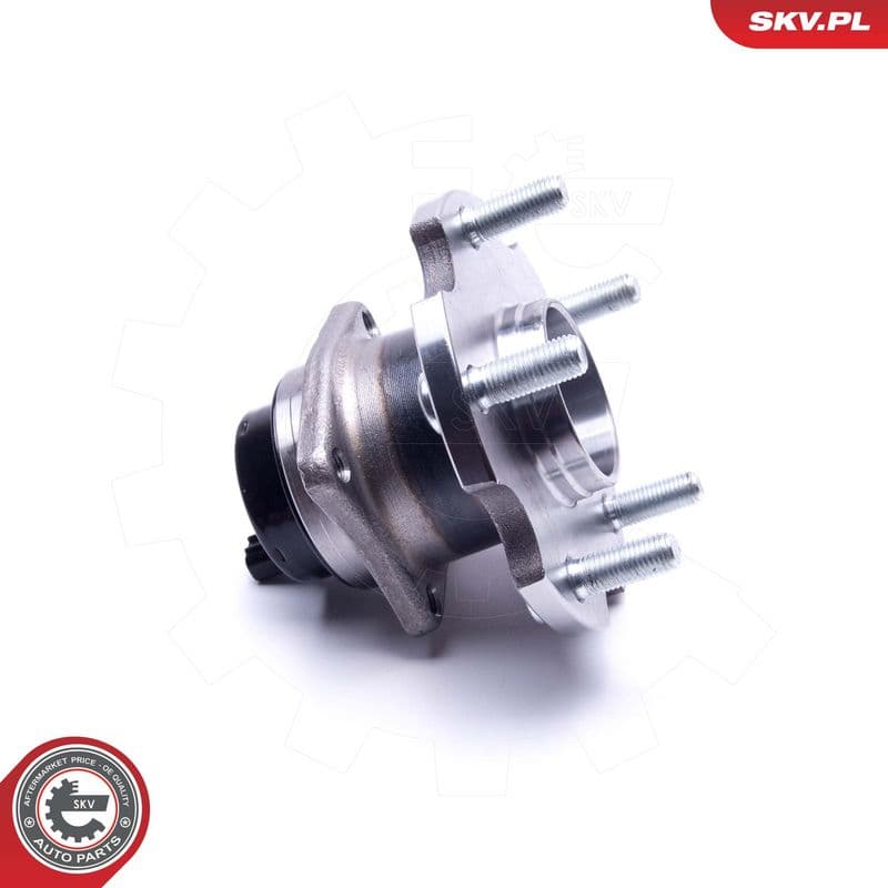 Set rulment roata ESEN SKV 29SKV287