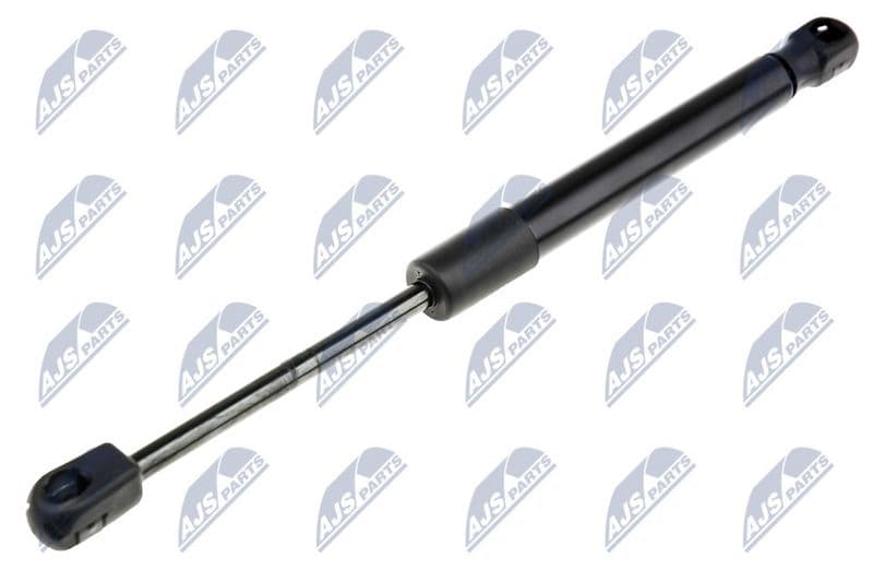 Amortizor portbagaj NTY AE-FR-048