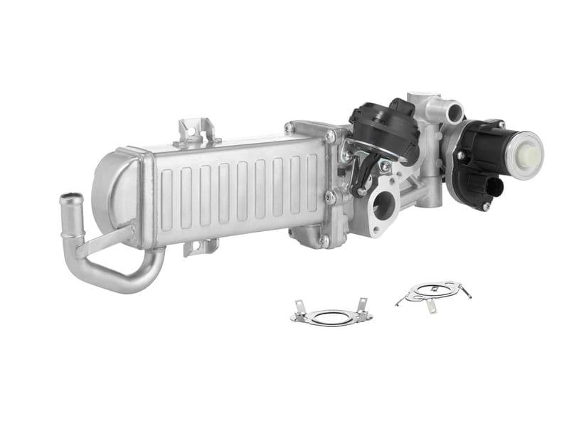 Modul-EGR BorgWarner 710861D/1