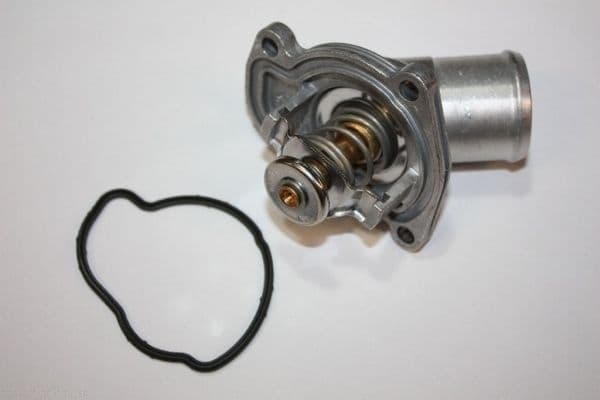 termostat,lichid racire AUTOMEGA 160100710