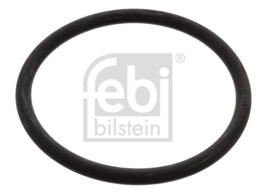 Garnitura termostat FEBI BILSTEIN 17966