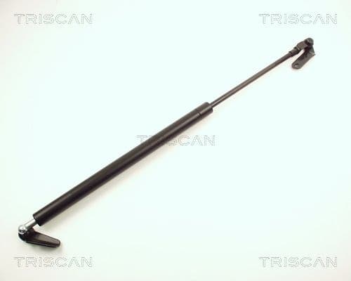 Amortizor portbagaj TRISCAN 8710 13235