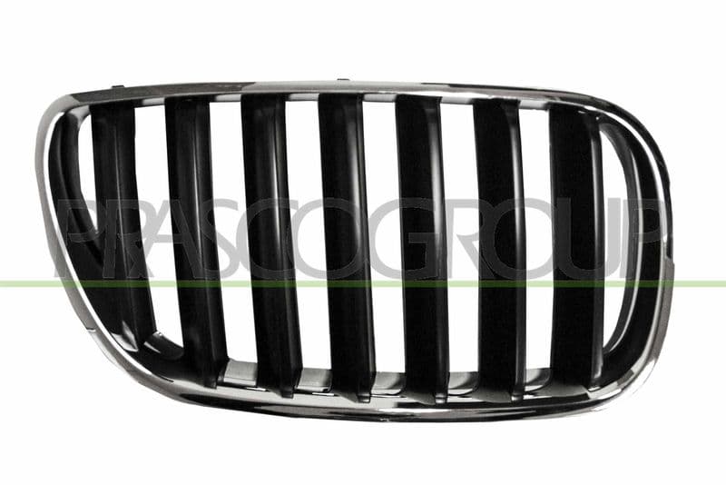 Grila radiator PRASCO BM8032003