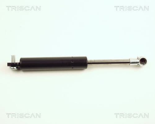 Amortizor portbagaj TRISCAN 8710 25212