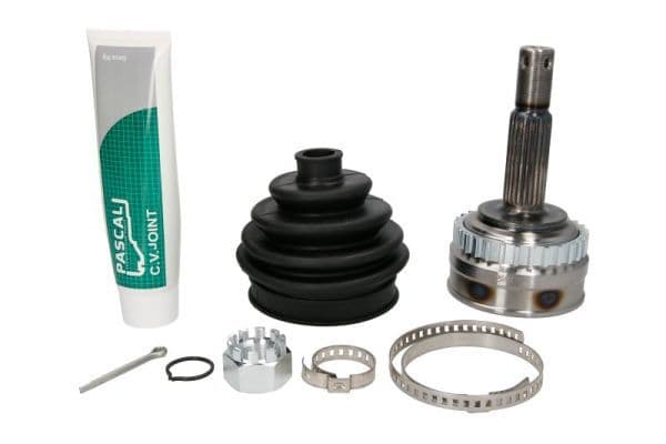 Set articulatie, planetara PASCAL G1X008PC