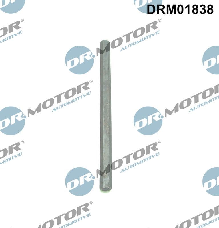 Arbore antrenare, Pompa ulei Dr.Motor Automotive DRM01838