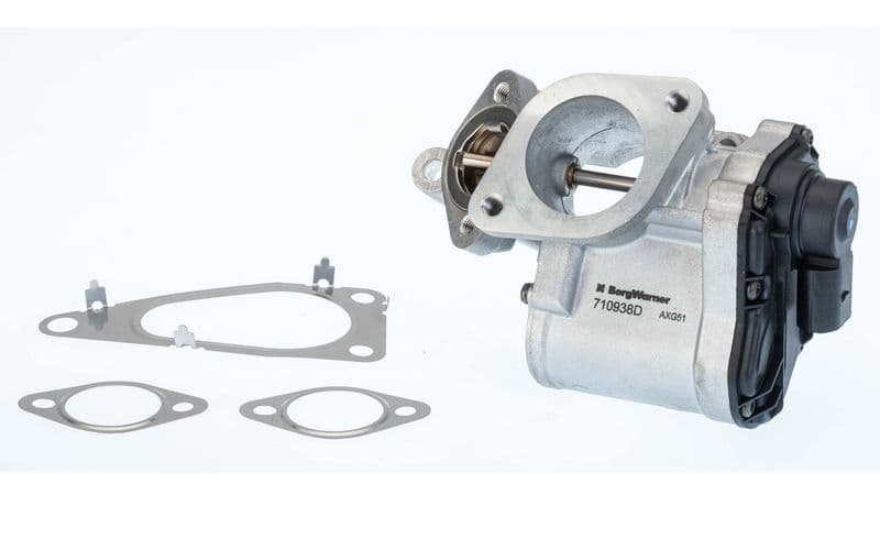 Supapa EGR BorgWarner 710938D
