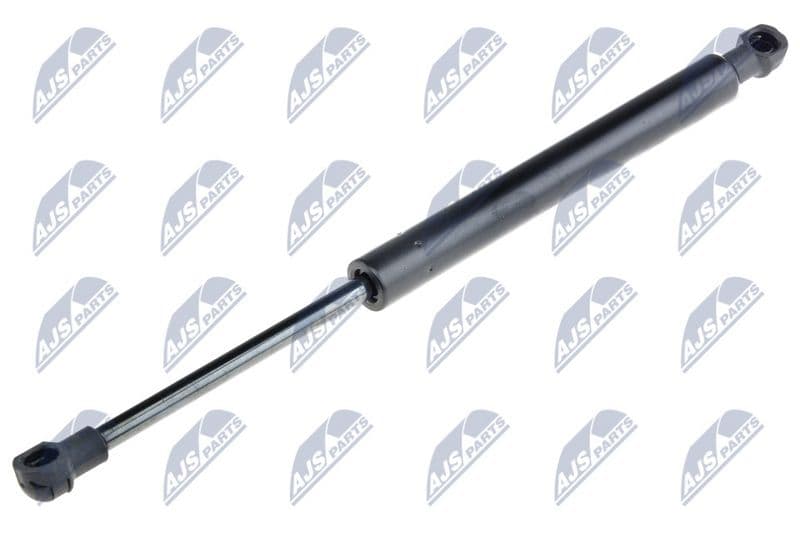 Amortizor portbagaj NTY AE-FR-020