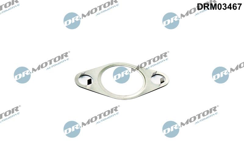 Garnitura, ventil AGR Dr.Motor Automotive DRM03467