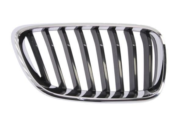 Grila radiator BLIC 6502-07-0069992P
