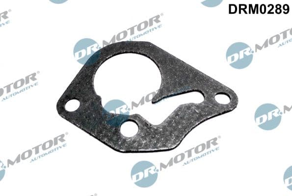 Garnitura, pompa vacuum Dr.Motor Automotive DRM0289