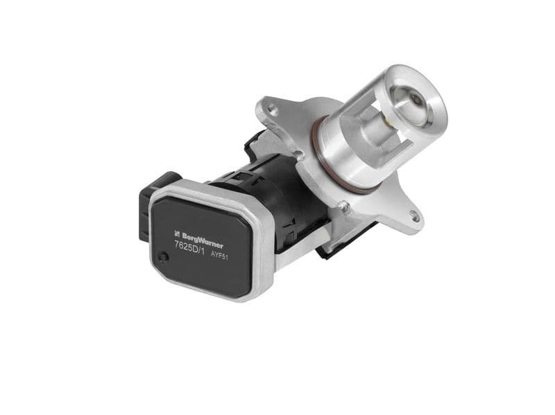 Supapa EGR BorgWarner 7625D/1