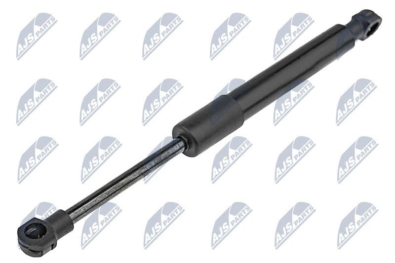Amortizor capota NTY AE-WW-076