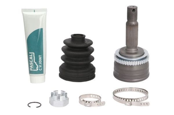 Set articulatie, planetara PASCAL G10541PC