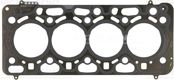 Garnitura, chiulasa REINZ 61-10249-30