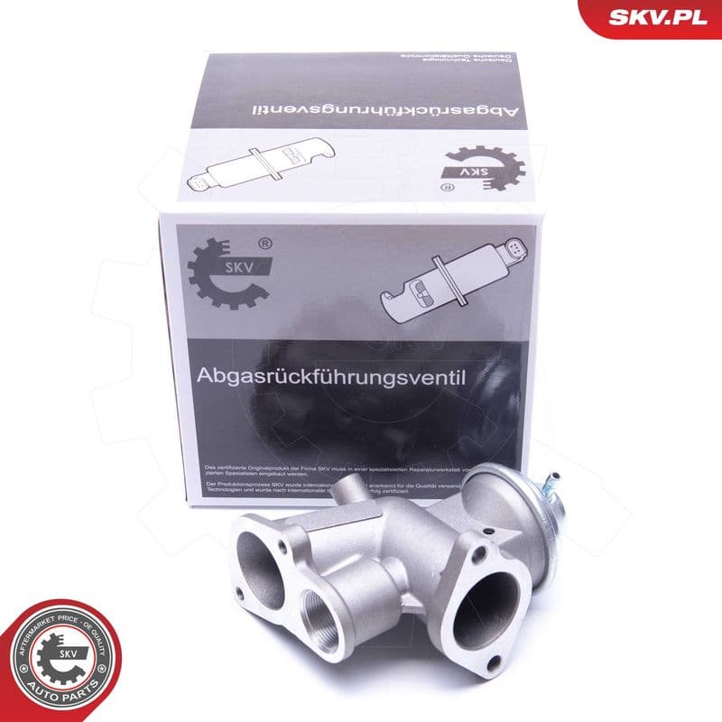 Supapa EGR ESEN SKV 14SKV180