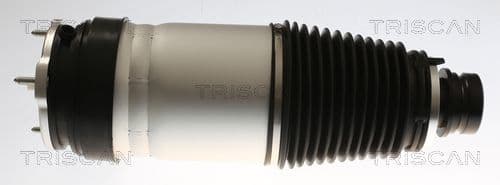 Arc pneumatic, directie TRISCAN 8720 81101