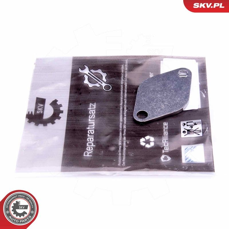 Set de reparație, supapă AGR ESEN SKV 14SKV541