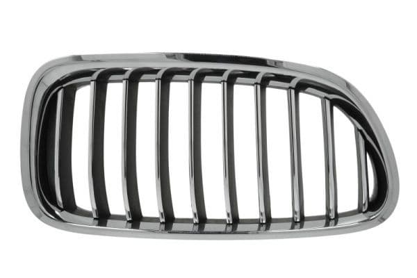 Grila radiator BLIC 6502-07-0067998P