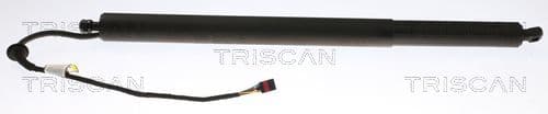 Amortizor portbagaj TRISCAN 8710 43302