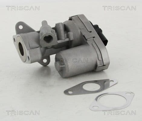 Supapa EGR TRISCAN 8813 10002