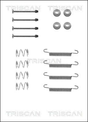 set accesorii, saboti frana parcare TRISCAN 8105 242562