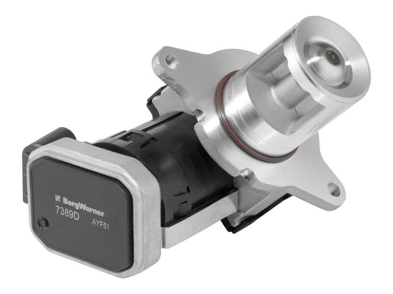 Supapa EGR BorgWarner 7389D