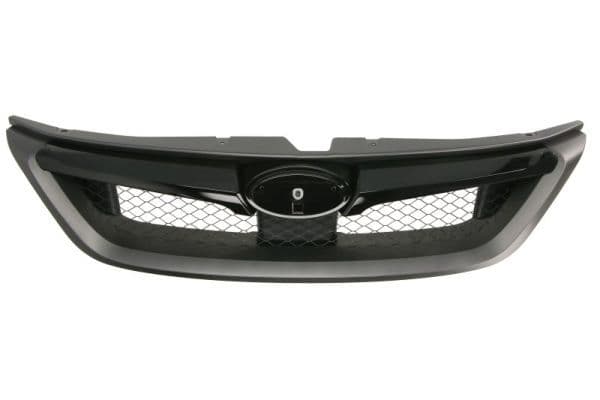 Grila radiator BLIC 5601-00-6735911P